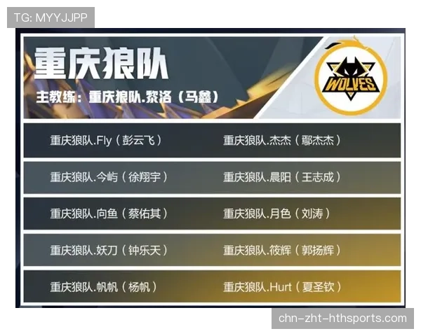 战队经纪人谈转会：高身价背后的战术价值分析